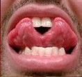 /album/fotogaleria/copia-3-de-cuerpo-raros-560x280-jpg/